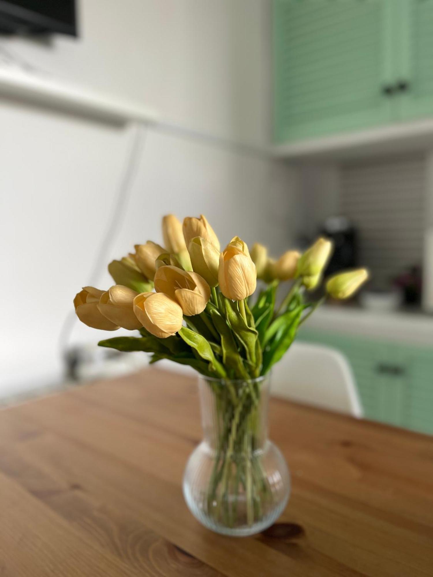 Your Holidays Apartment Castell-Castell-Platja d'Aro Extérieur photo